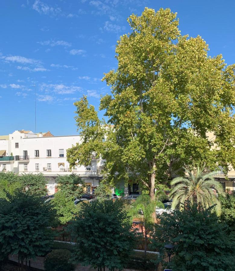 Acogedor Apartamento En Pleno Corazon De Triana Siviglia Esterno foto